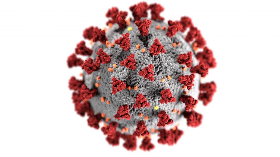 Imagem do Virus